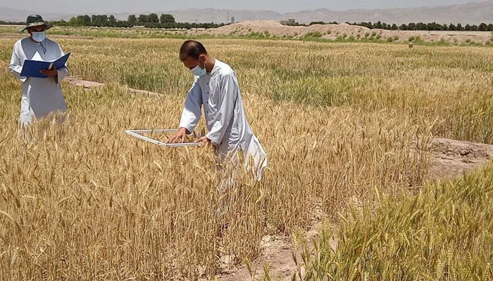 پاکستان: زرعی قرضوں، سیاسی بیانات اور مختلف اہم خبروں کا مجموعی منظرنامہ