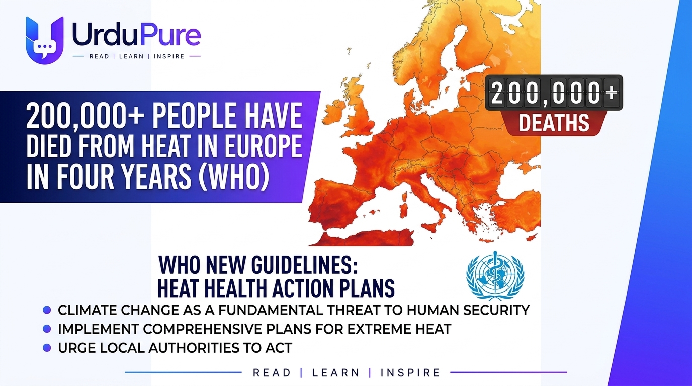 200,000 Dead From Heat in Europe Alone — The WHO's Warning Is Addressed to the Entire World